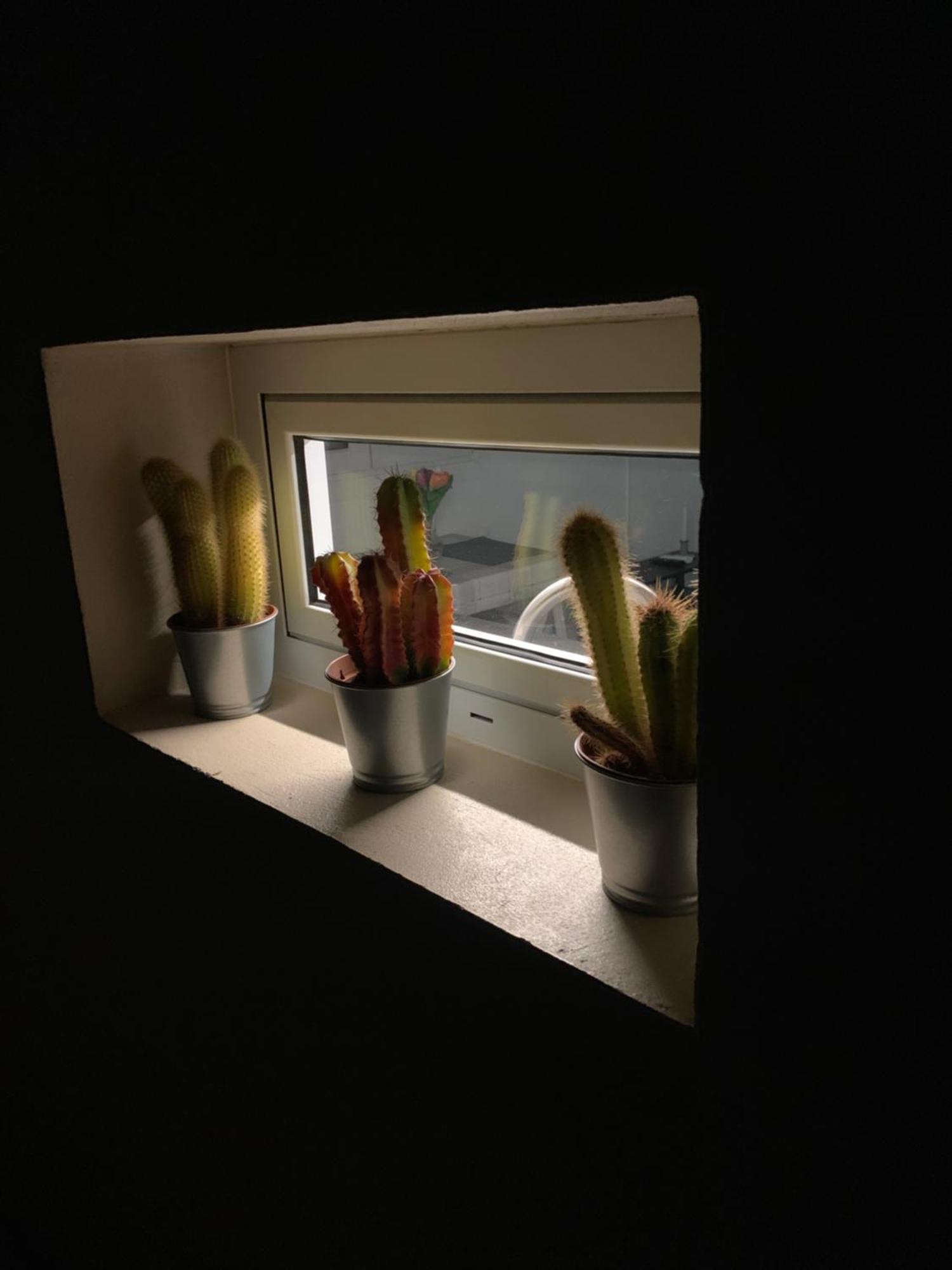 Mar&Mar, Apartamento Con Solarium Y Piscina 그란 타라할 외부 사진